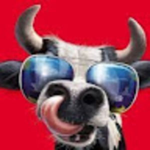 Meet your Posher, Cheyenne